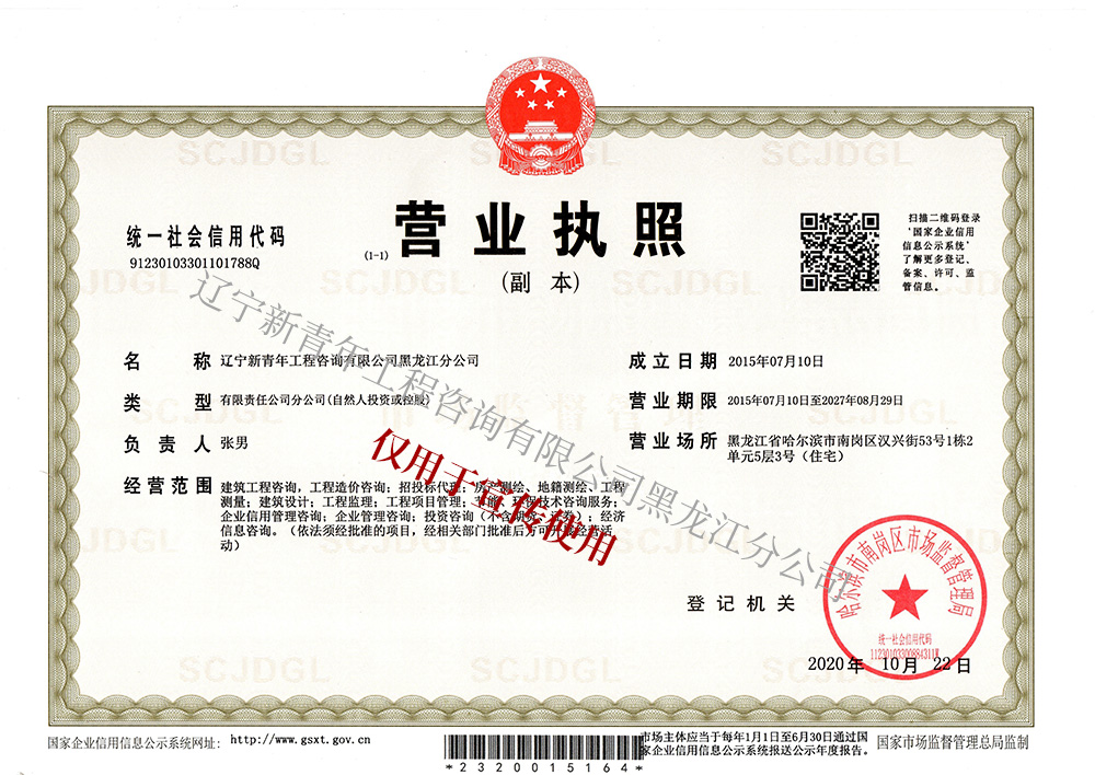 新青年工程咨询公司